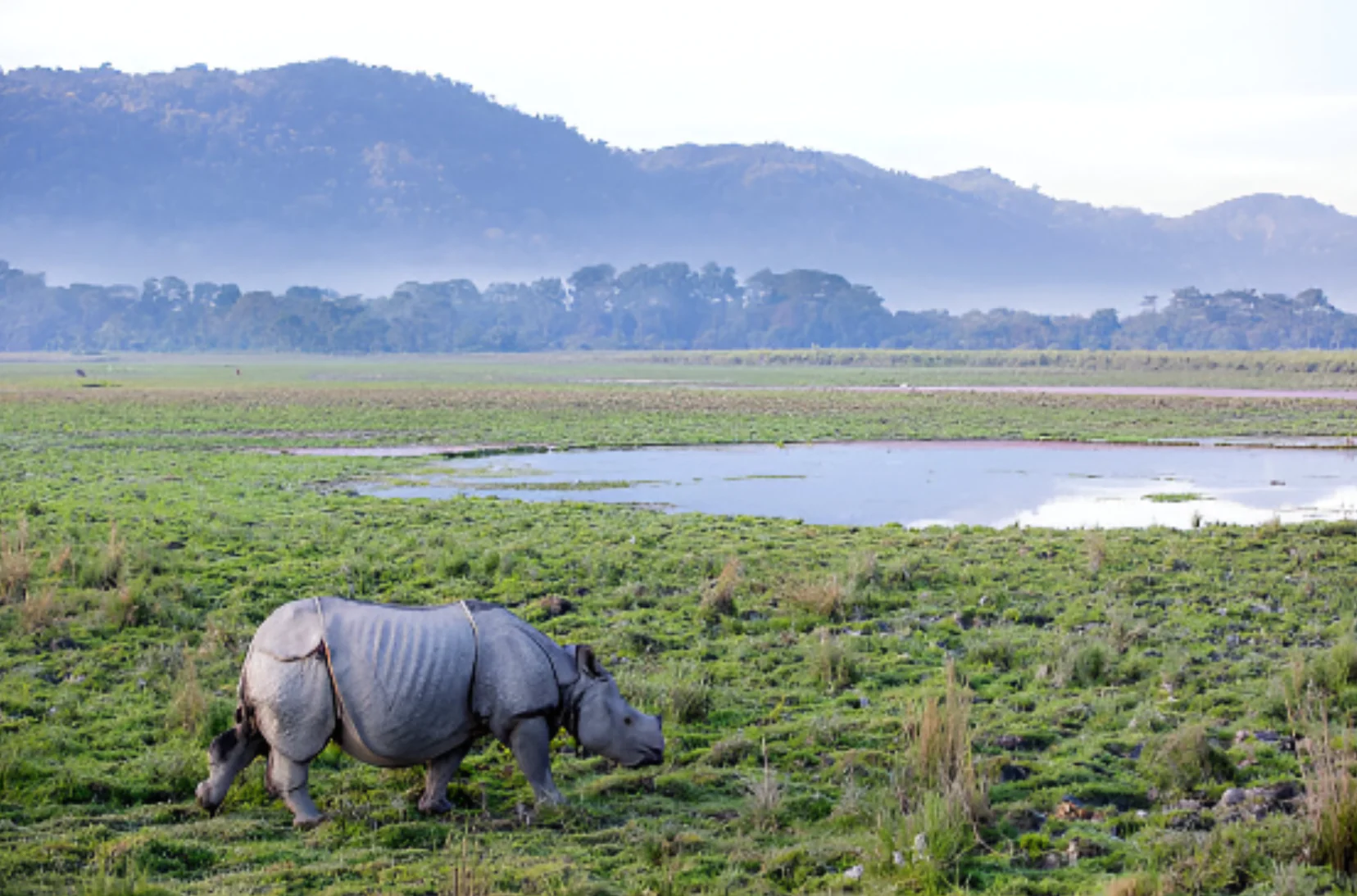 meghalaya-sld3